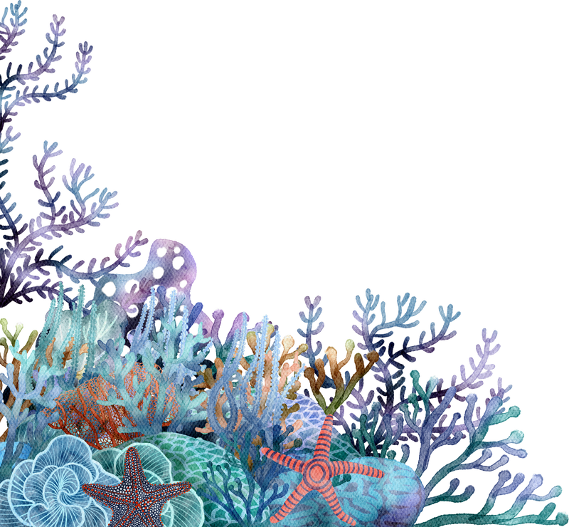 Coral Left
